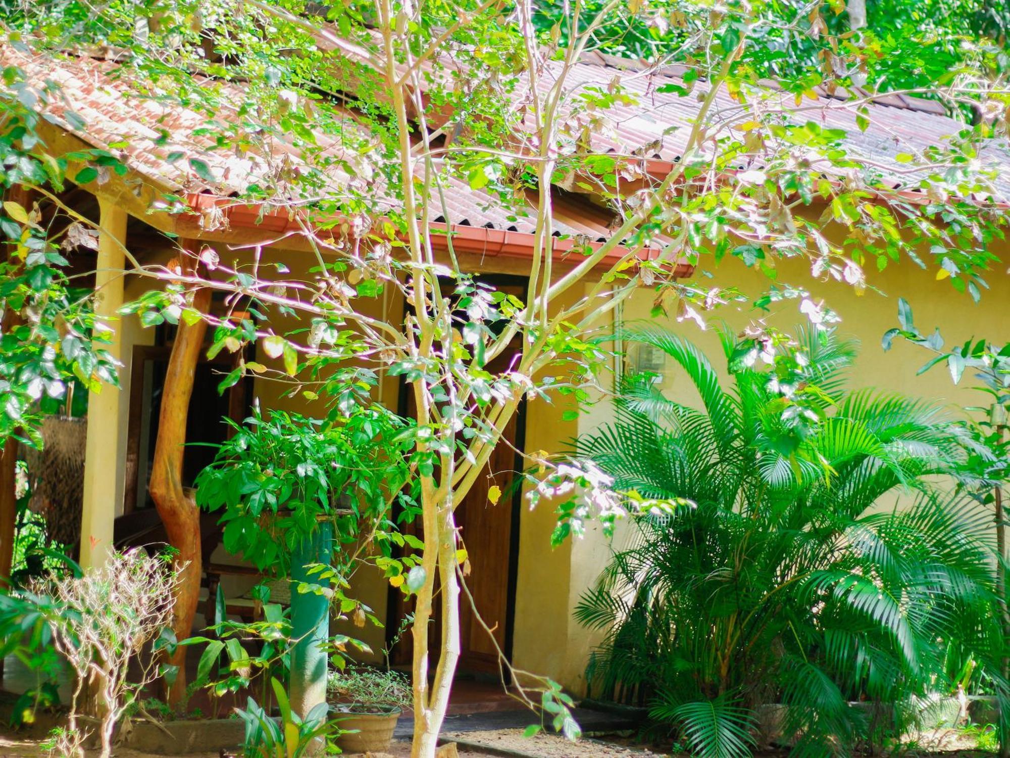 Joshua'S Cottage Sigiriya Exterior foto